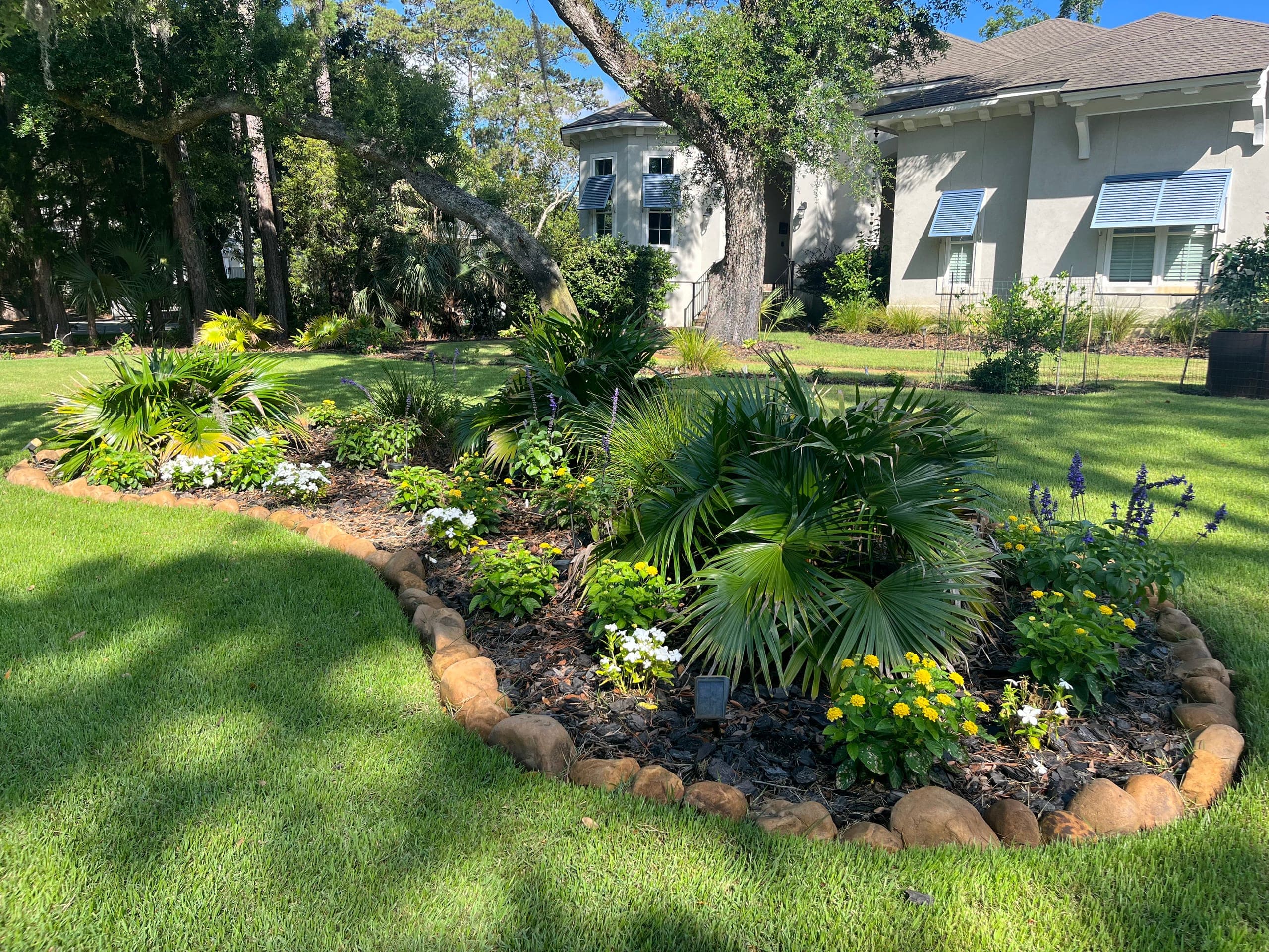 Newly planted island bed against a house with blue Bahama shutters, live oak overhead.