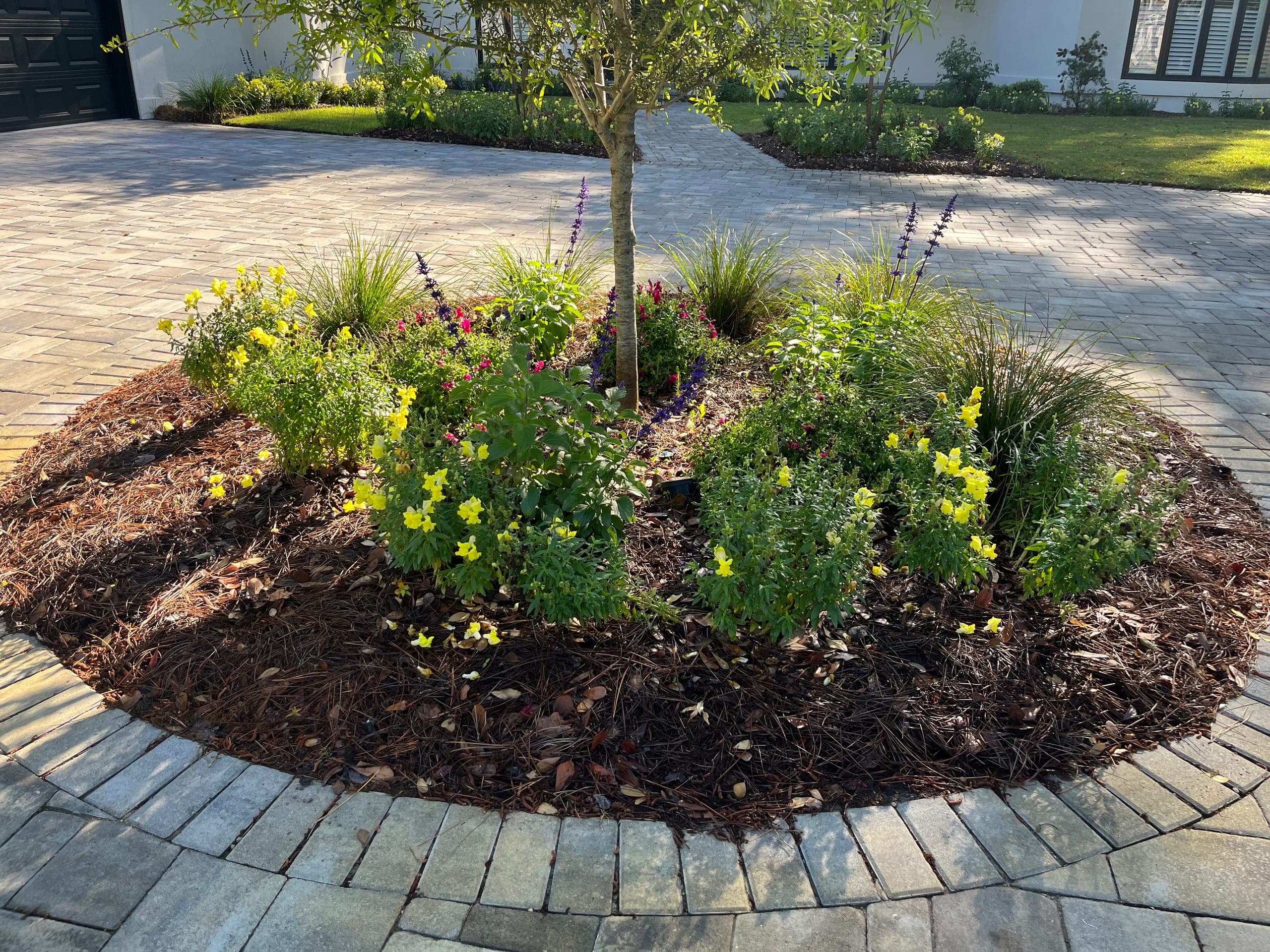 Circular planting island ringed with a paver band, set within a paver courtyard.